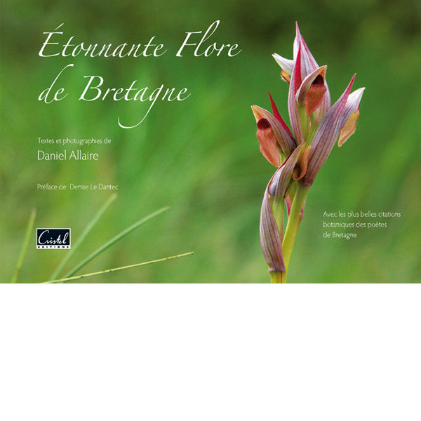 etonnante flore de bretagne