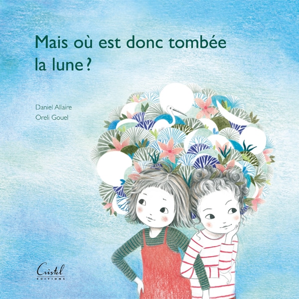 Mais où est donc tombée la lune ? livre enfant bretagne