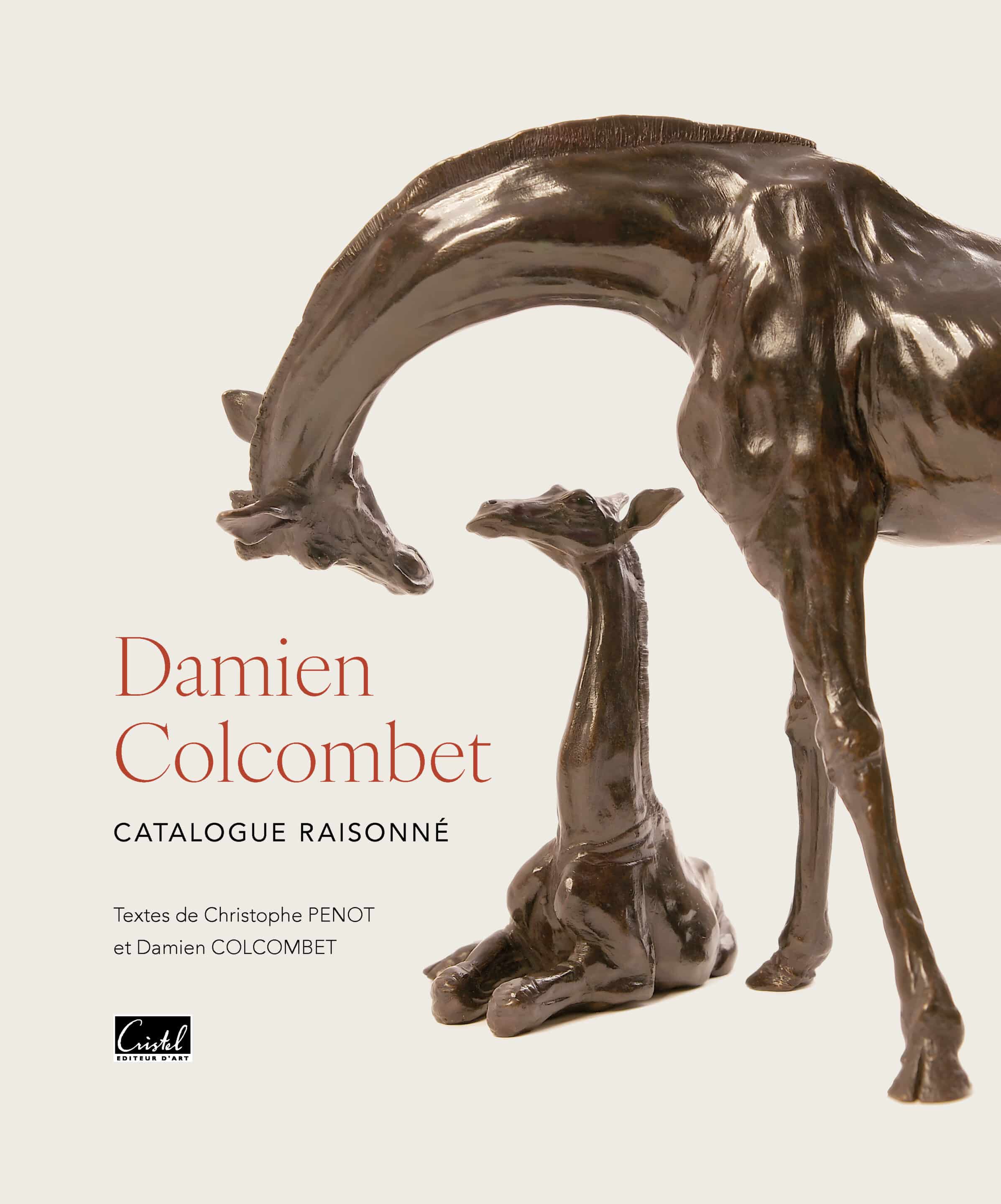 Damien Colcombet. Catalogue raisonné. Textes de Christophe Penot et Damien Colcombet