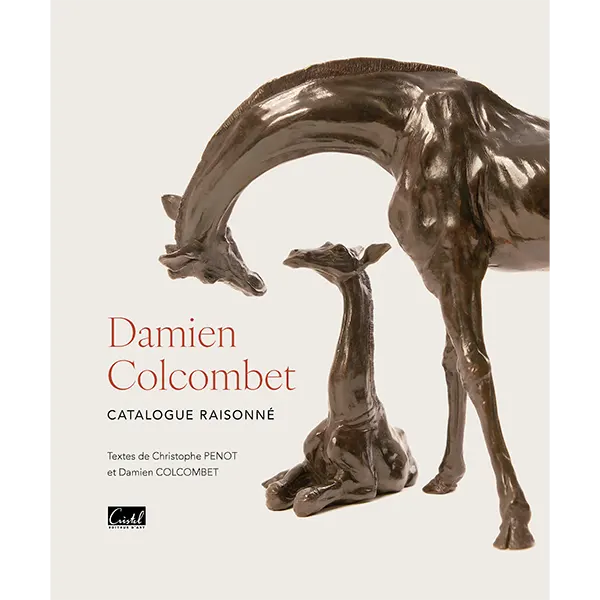 Damien Colcombet. Catalogue raisonné. Textes de Christophe Penot et Damien Colcombet